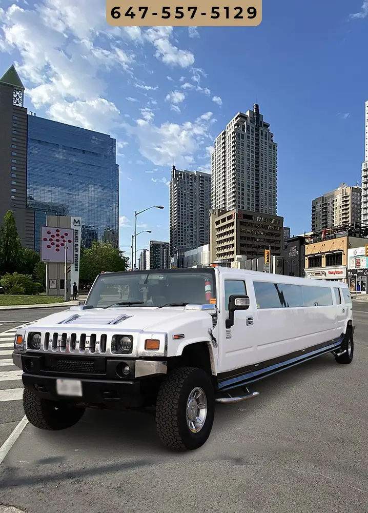 premium limo services